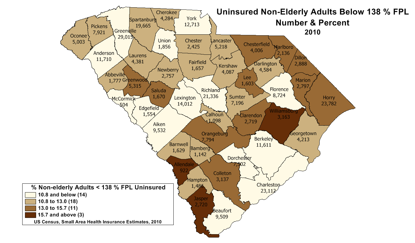 Uninsured Non-elderly Adults SC 2010 Under 138 % Map 2
